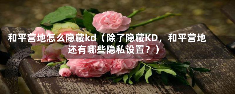 和平营地怎么隐藏kd（除了隐藏KD，和平营地还有哪些隐私设置？）