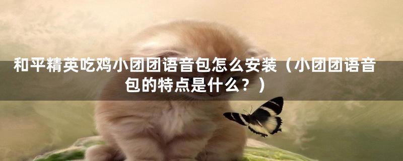 和平精英吃鸡小团团语音包怎么安装（小团团语音包的特点是什么？）