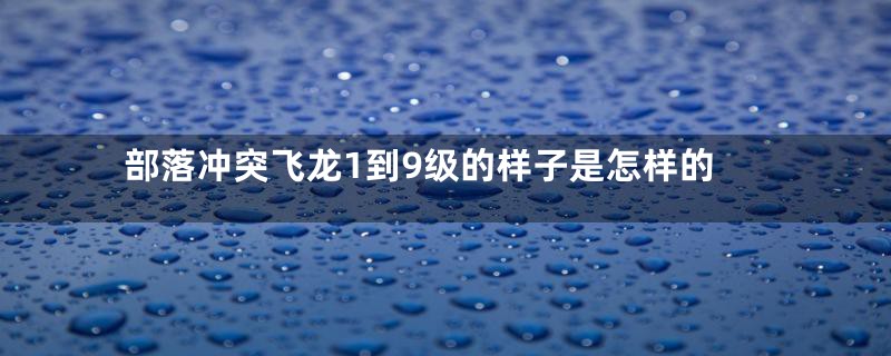 部落冲突飞龙1到9级的样子是怎样的