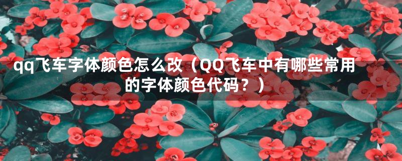 qq飞车字体颜色怎么改（QQ飞车中有哪些常用的字体颜色代码？）