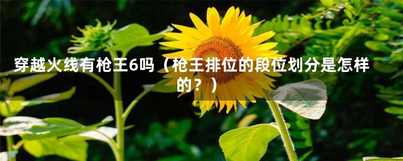 穿越火线有枪王6吗（枪王排位的段位划分是怎样的？）