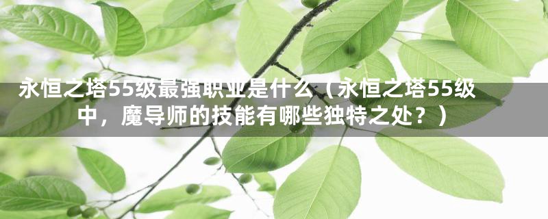 永恒之塔55级最强职业是什么（永恒之塔55级中，魔导师的技能有哪些独特之处？）