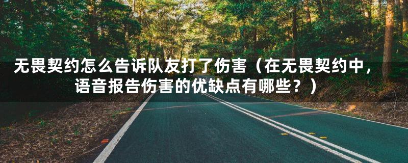 无畏契约怎么告诉队友打了伤害（在无畏契约中，语音报告伤害的优缺点有哪些？）