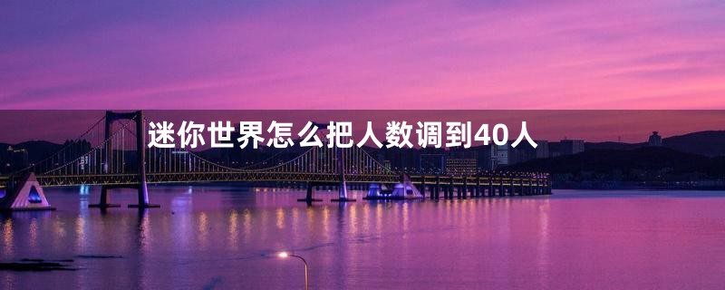 迷你世界怎么把人数调到40人