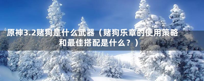 原神3.2赌狗是什么武器（赌狗乐章的使用策略和最佳搭配是什么？）