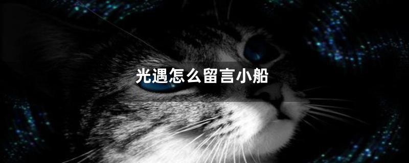 光遇怎么留言小船