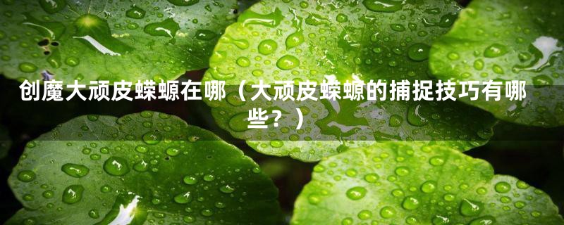 创魔大顽皮蝾螈在哪（大顽皮蝾螈的捕捉技巧有哪些？）