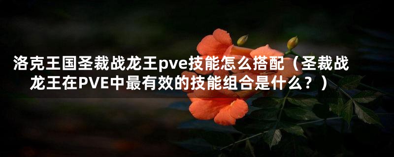 洛克王国圣裁战龙王pve技能怎么搭配（圣裁战龙王在PVE中最有效的技能组合是什么？）