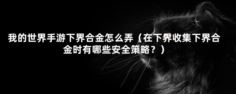 我的世界手游下界合金怎么弄（在下界收集下界合金时有哪些安全策略？）