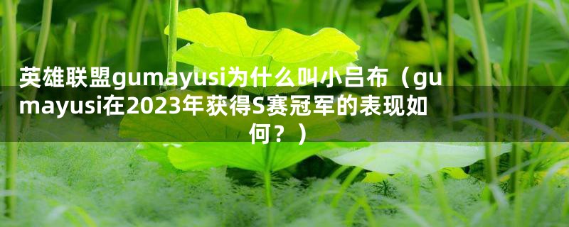 英雄联盟gumayusi为什么叫小吕布（gumayusi在2023年获得S赛冠军的表现如何？）