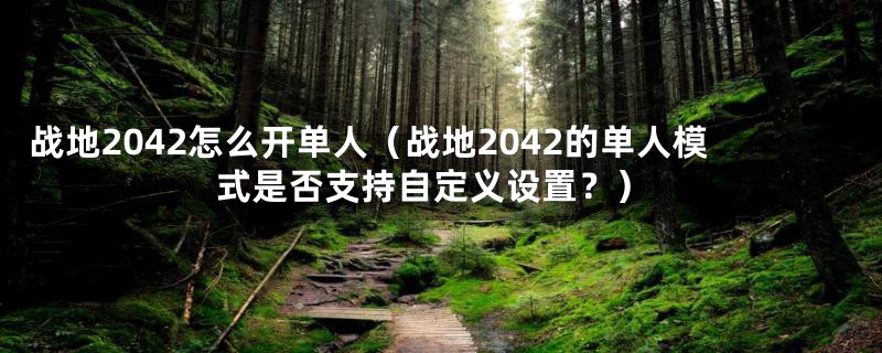 战地2042怎么开单人（战地2042的单人模式是否支持自定义设置？）