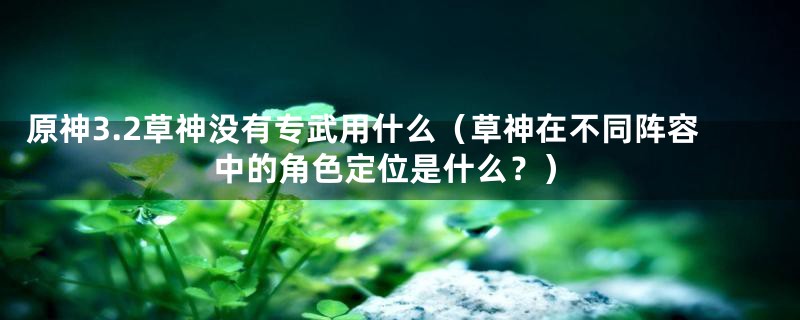 原神3.2草神没有专武用什么（草神在不同阵容中的角色定位是什么？）