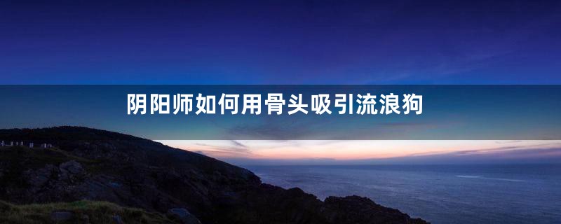 阴阳师如何用骨头吸引流浪狗