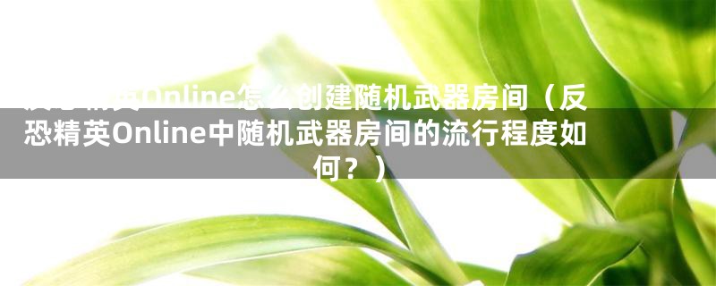 反恐精英Online怎么创建随机武器房间（反恐精英Online中随机武器房间的流行程度如何？）