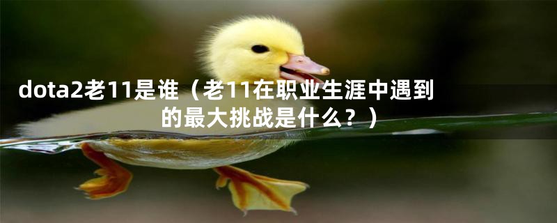 dota2老11是谁（老11在职业生涯中遇到的最大挑战是什么？）