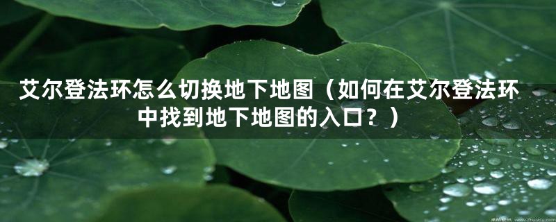 艾尔登法环怎么切换地下地图（如何在艾尔登法环中找到地下地图的入口？）