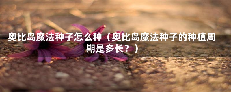 奥比岛魔法种子怎么种（奥比岛魔法种子的种植周期是多长？）