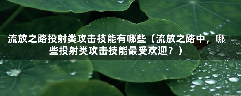 流放之路投射类攻击技能有哪些（流放之路中，哪些投射类攻击技能最受欢迎？）