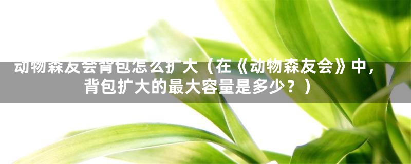 动物森友会背包怎么扩大（在《动物森友会》中，背包扩大的最大容量是多少？）