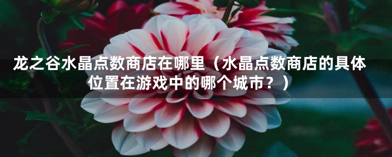 龙之谷水晶点数商店在哪里（水晶点数商店的具体位置在游戏中的哪个城市？）