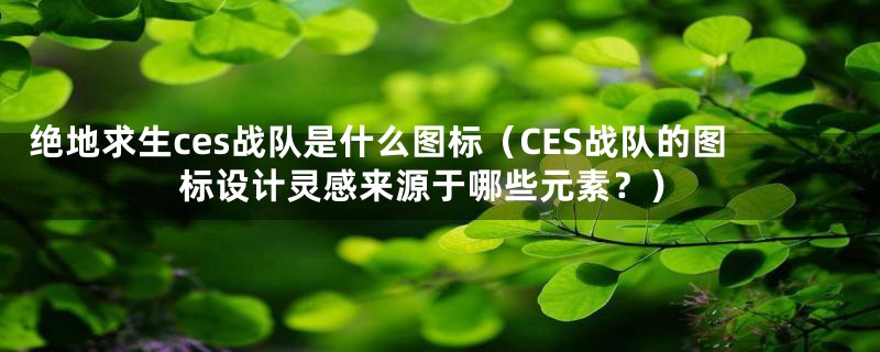 绝地求生ces战队是什么图标（CES战队的图标设计灵感来源于哪些元素？）