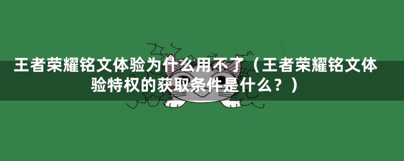 王者荣耀铭文体验为什么用不了（王者荣耀铭文体验特权的获取条件是什么？）