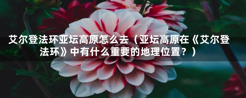 艾尔登法环亚坛高原怎么去（亚坛高原在《艾尔登法环》中有什么重要的地理位置？）