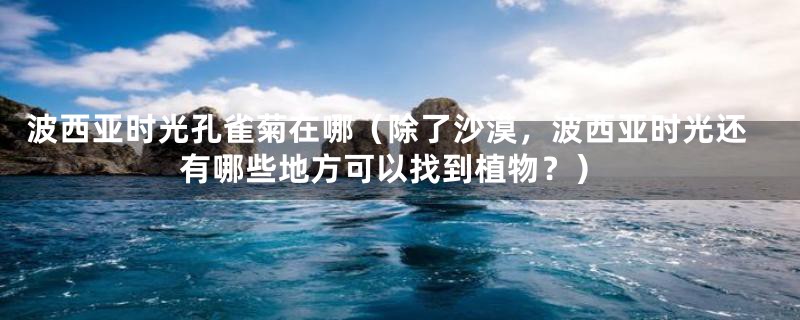 波西亚时光孔雀菊在哪（除了沙漠，波西亚时光还有哪些地方可以找到植物？）