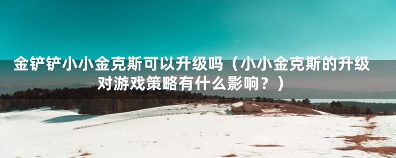 金铲铲小小金克斯可以升级吗（小小金克斯的升级对游戏策略有什么影响？）