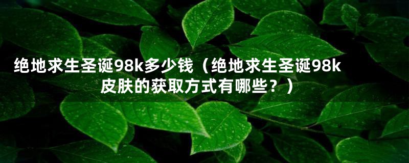 绝地求生圣诞98k多少钱（绝地求生圣诞98k皮肤的获取方式有哪些？）