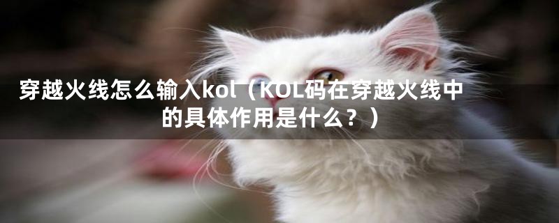 穿越火线怎么输入kol（KOL码在穿越火线中的具体作用是什么？）