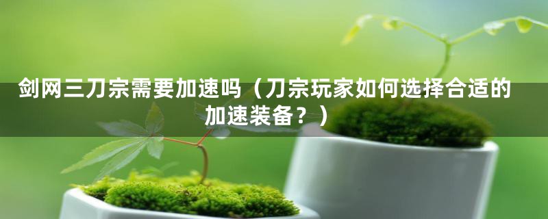 剑网三刀宗需要加速吗（刀宗玩家如何选择合适的加速装备？）