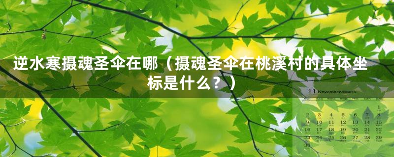 逆水寒摄魂圣伞在哪（摄魂圣伞在桃溪村的具体坐标是什么？）