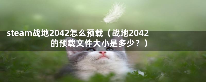 steam战地2042怎么预载（战地2042的预载文件大小是多少？）