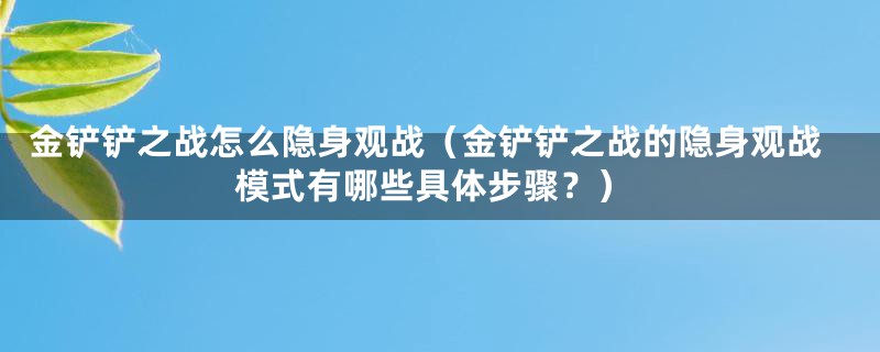 金铲铲之战怎么隐身观战（金铲铲之战的隐身观战模式有哪些具体步骤？）