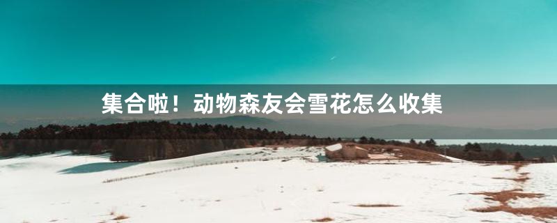 集合啦！动物森友会雪花怎么收集