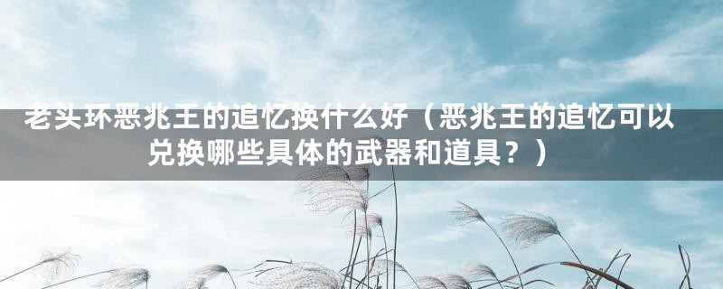 老头环恶兆王的追忆换什么好（恶兆王的追忆可以兑换哪些具体的武器和道具？）