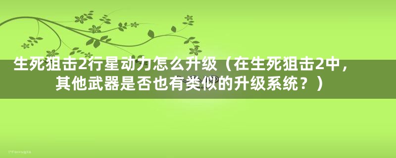 生死狙击2行星动力怎么升级（在生死狙击2中，其他武器是否也有类似的升级系统？）