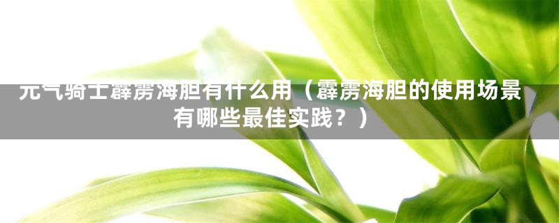 元气骑士霹雳海胆有什么用（霹雳海胆的使用场景有哪些最佳实践？）