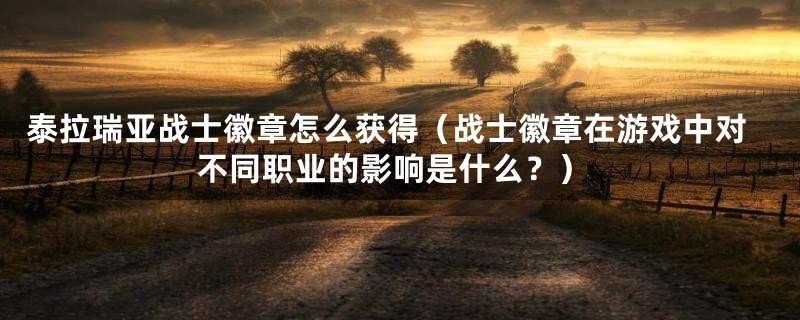 泰拉瑞亚战士徽章怎么获得（战士徽章在游戏中对不同职业的影响是什么？）