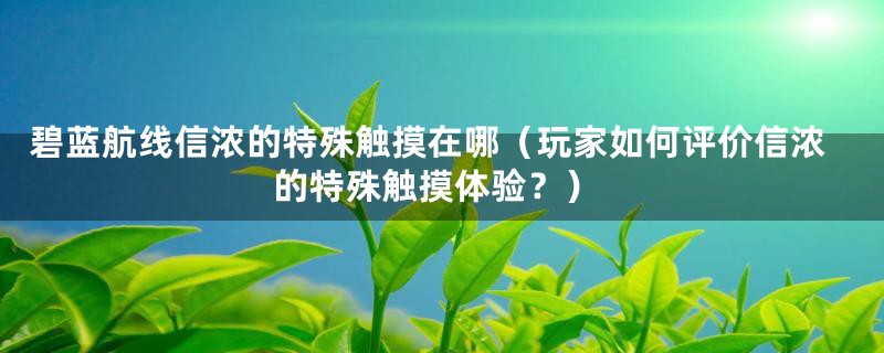 碧蓝航线信浓的特殊触摸在哪（玩家如何评价信浓的特殊触摸体验？）