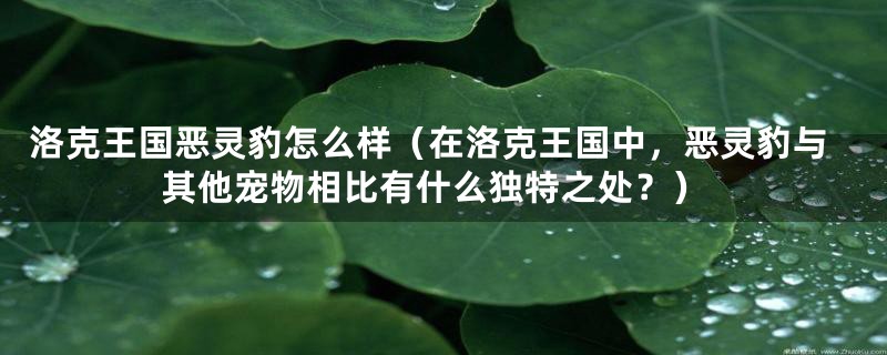 洛克王国恶灵豹怎么样（在洛克王国中，恶灵豹与其他宠物相比有什么独特之处？）