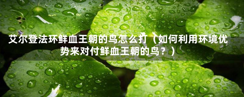 艾尔登法环鲜血王朝的鸟怎么打（如何利用环境优势来对付鲜血王朝的鸟？）