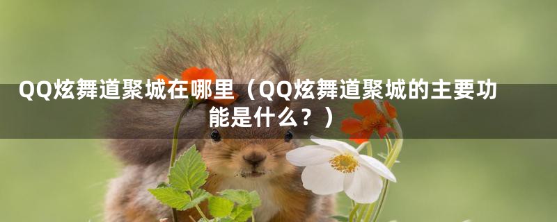 QQ炫舞道聚城在哪里（QQ炫舞道聚城的主要功能是什么？）