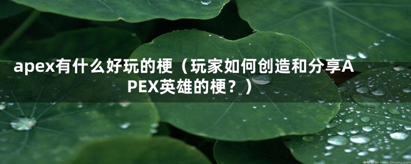 apex有什么好玩的梗（玩家如何创造和分享APEX英雄的梗？）