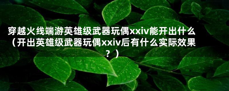 穿越火线端游英雄级武器玩偶xxiv能开出什么（开出英雄级武器玩偶xxiv后有什么实际效果？）