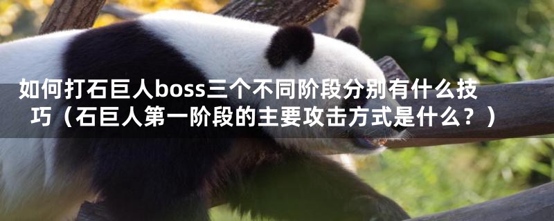 如何打石巨人boss三个不同阶段分别有什么技巧（石巨人第一阶段的主要攻击方式是什么？）