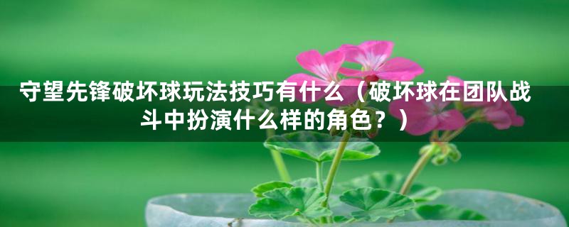 守望先锋破坏球玩法技巧有什么（破坏球在团队战斗中扮演什么样的角色？）