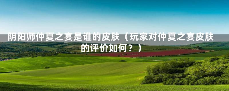 阴阳师仲夏之宴是谁的皮肤（玩家对仲夏之宴皮肤的评价如何？）