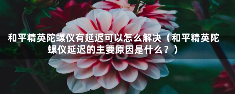 和平精英陀螺仪有延迟可以怎么解决（和平精英陀螺仪延迟的主要原因是什么？）